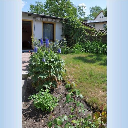 Ahlbeck_Seebadwohnung 03 Heringsdorf  Bagian luar foto